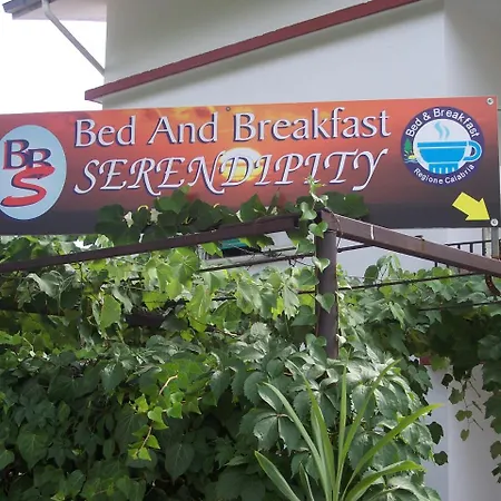 Serendipity The Better Choice For Your Holidays Fiuzzi